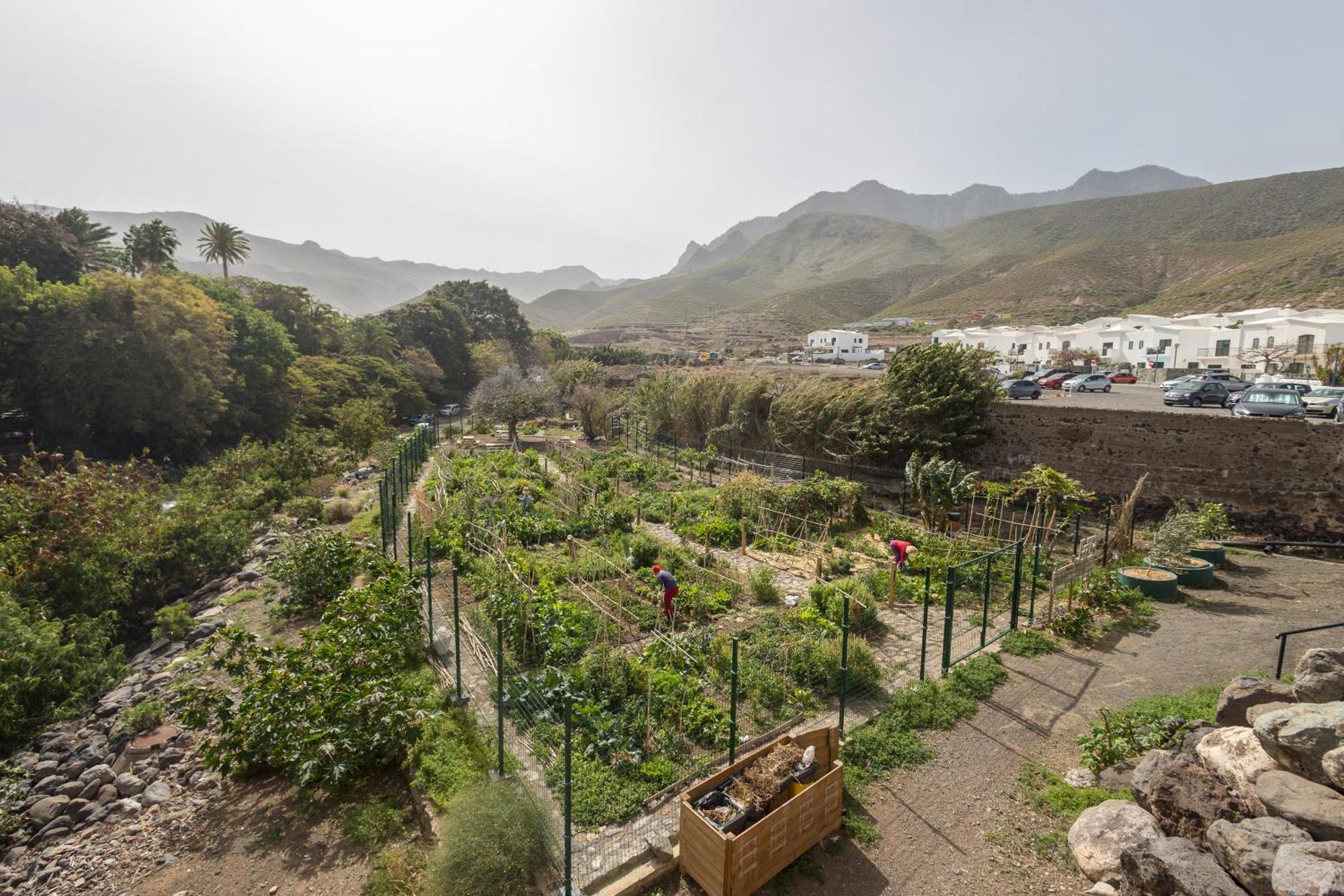 Casa Carmen Agaete Con Terraza Y Vistas Al Mar Agaete (Gran Canaria) Exterior foto